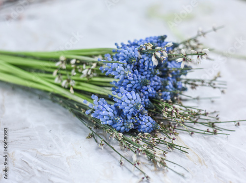 Blumenstrauss mit Traubenhyazinthen und Ginster  Fr  hling Dekoration