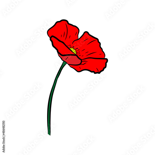 Poppy flower. Hand drawn vector illustration in line art style  isolated on a white background.