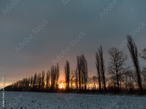 Orange sunrise behind tall trees on a foggy morning on a cold winter day in the Spessart, Bavaria, Germany