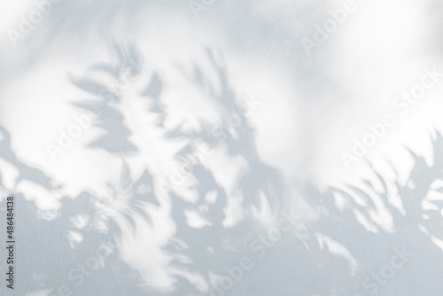 Shadow and sunshine of leaves reflection. Jungle tree gray darkness shade and lighting on concrete wall wallpaper, shadows overlay effect, mockup design.