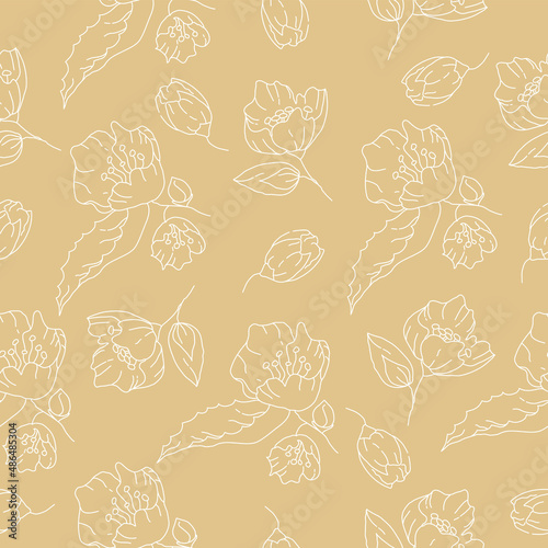 Jasmine hand drawn, seamless pattern.