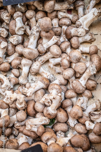 organic fresh baby bella mushrooms on the market 