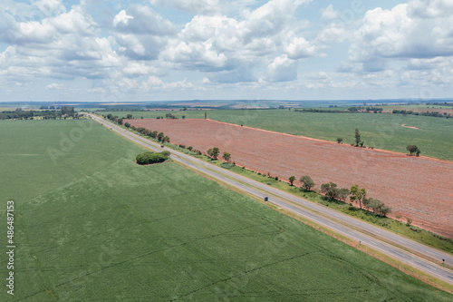 road between soybean plantation in Aguai, Sao Paulo, Brazil