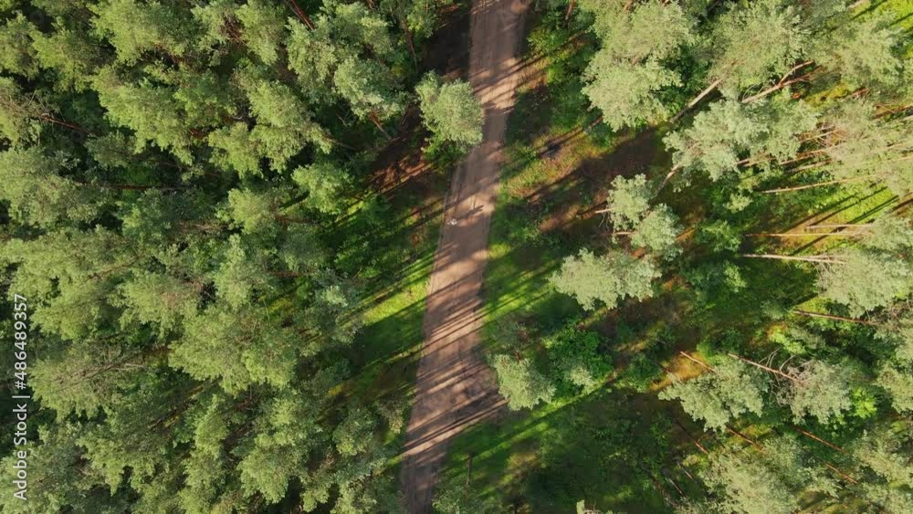 Aerial top down view of the forest. Drone is zoom in Aerial top down view of the forest. Drone is zoom in
