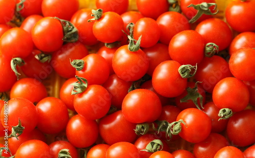 Red tomatoes with stalks close-up