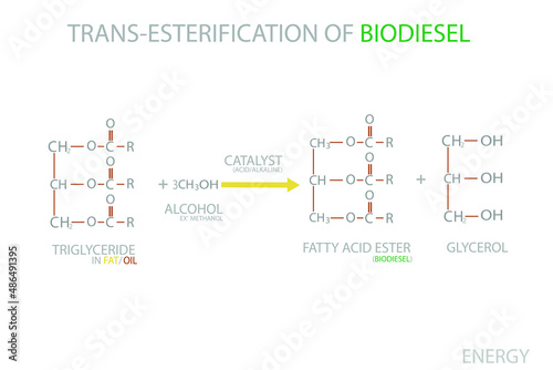 Trans-esterification of Biodiesel molecular skeletal chemical formula. photo