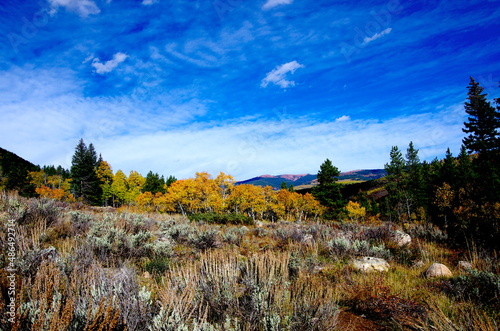 White River National Forest Colorado USA