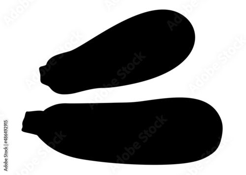 Large zucchini set. Vector image.