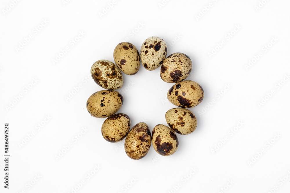 quail eggs on a white background quail eggs on a white background