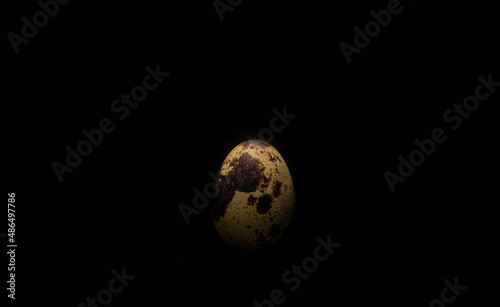 quail egg on a black background