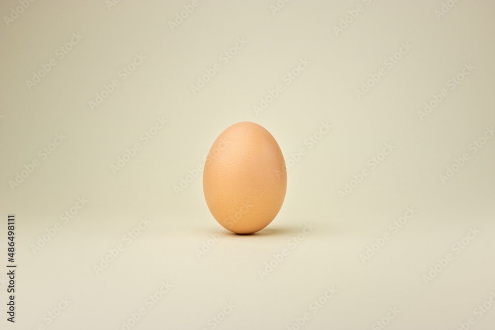 egg on a cream background. egg on ivory background egg on a cream background. egg on ivory background