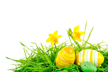 easter eggs in grass