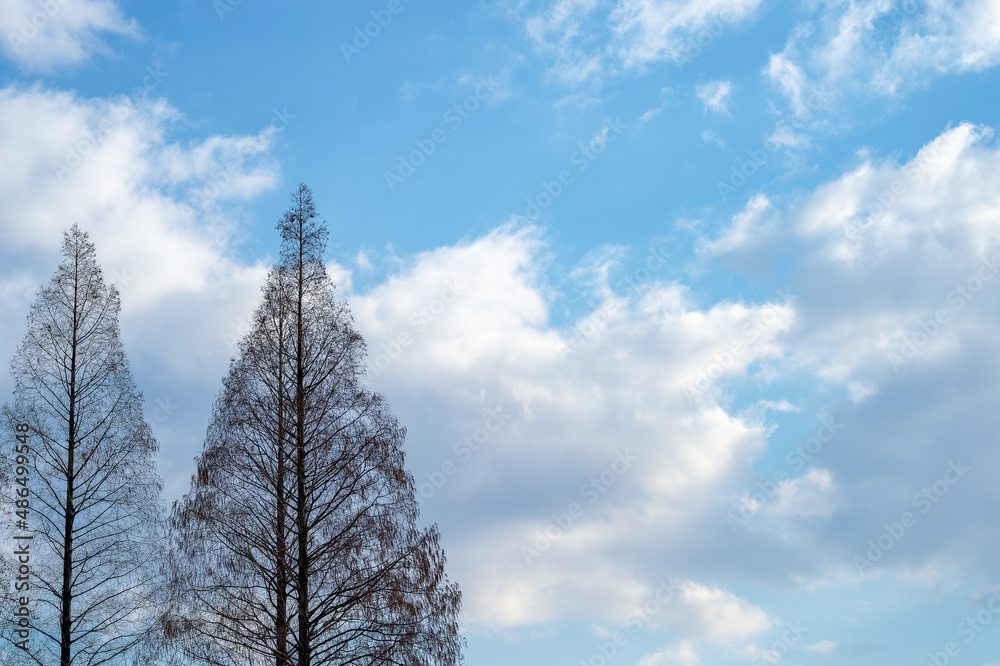 東京都新宿区にある公園の景色