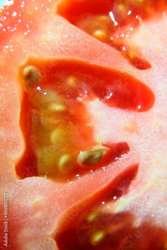 Tomate rojo o jitomate, cortado por la mitad muestra semillas y formas de la pulpa una ilustraciòn abstracta con diseño natural para fondos de textura  photo