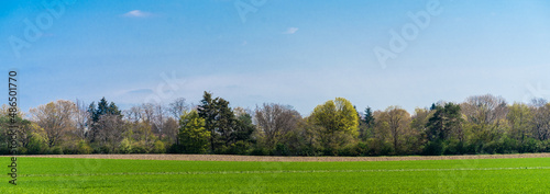 Green farmers field. Rural landscape