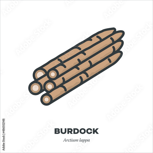 Fototapete Burdock roots vegetable icon, filled outline style vector illustration