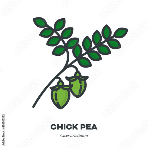 Chick peas on branch icon, filled outline style vector illustration