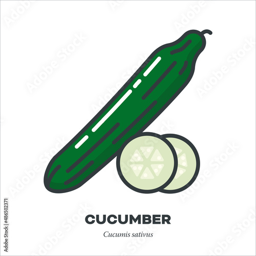 Cucumber vegetable icon, filled outline style vector illustration
