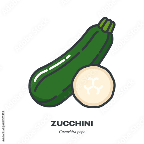 Green Zucchini vegetable icon, filled outline style vector illustration