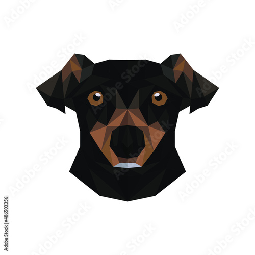 Portrait of a black dog in polygonal style can be used for screen printing clothes and billboards for dog lovers photo