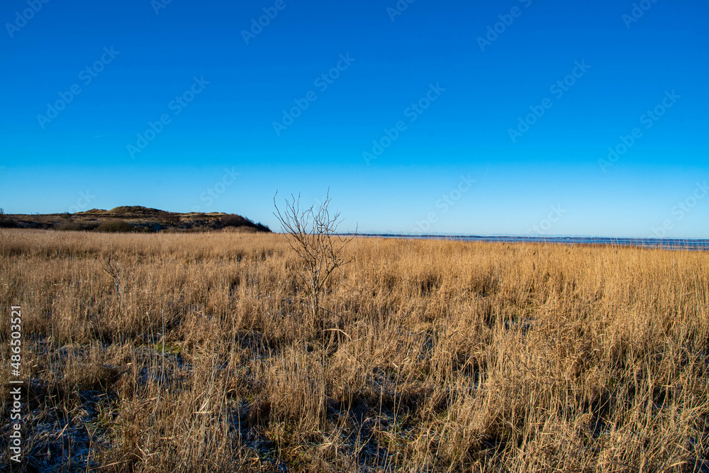 Blick über das Naturschutzgebiet Morsum Kliff in der Sonne im Winter, Insel Sylt Blick über das Naturschutzgebiet Morsum Kliff in der Sonne im Winter, Insel Sylt