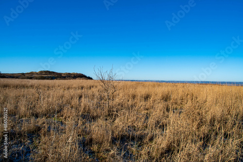 Blick   ber das Naturschutzgebiet Morsum Kliff in der Sonne im Winter  Insel Sylt