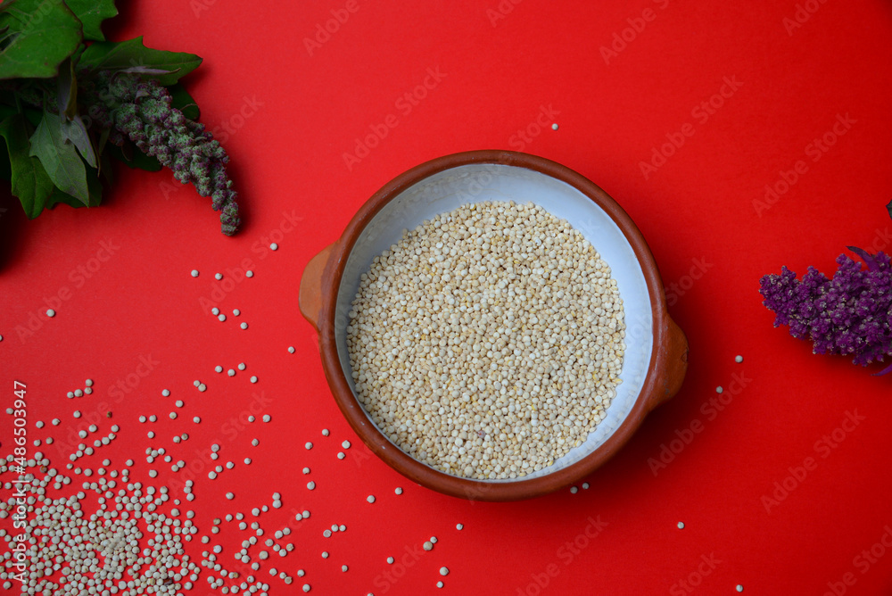 Chenopodium quinoa, known as quinoa, quinoa (both from the Quechua