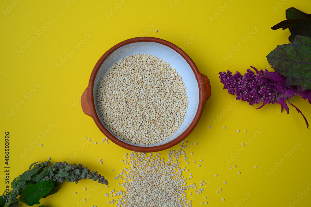 Chenopodium quinoa, known as quinoa, quinoa (both from the Quechua