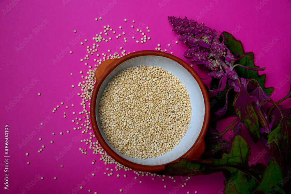 Chenopodium quinoa, known as quinoa, quinoa (both from the Quechua