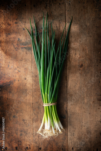 Fresh harvested bundle of scallions on a old grungy table.