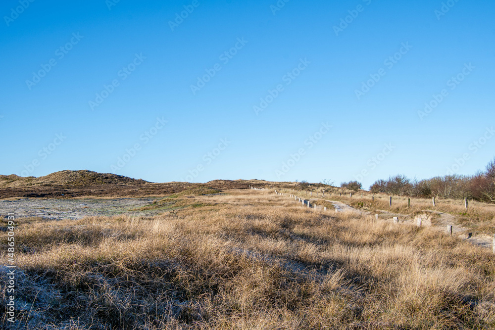 Rundweg durch das Naturschutzgebiet Morsum Kliff in der Sonne im Winter, Insel Sylt
