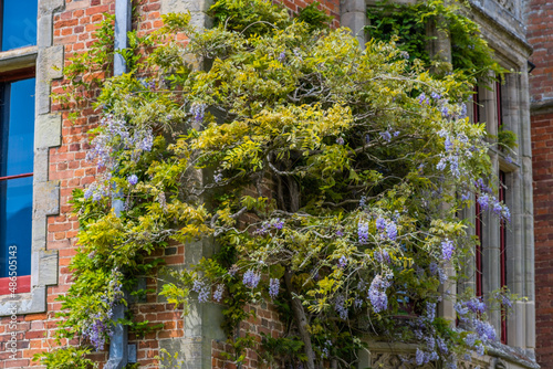 charlecote park stately home estate and park warwickshire england europe  photo