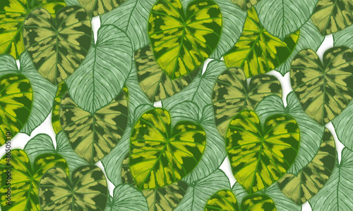 Green tropical leaves abstract spring summer nature background