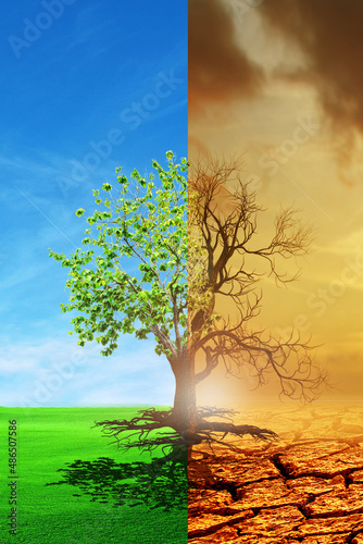 Climate change from drought to green growth. climate change withered earth. Global warming concept.A comparative picture of a dead tree and a tree as a concept of global environmental change.