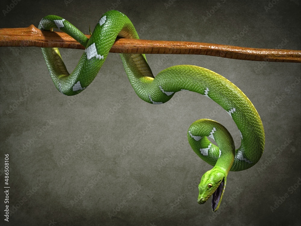 Obraz premium Python close-up. 3d illustration (4)