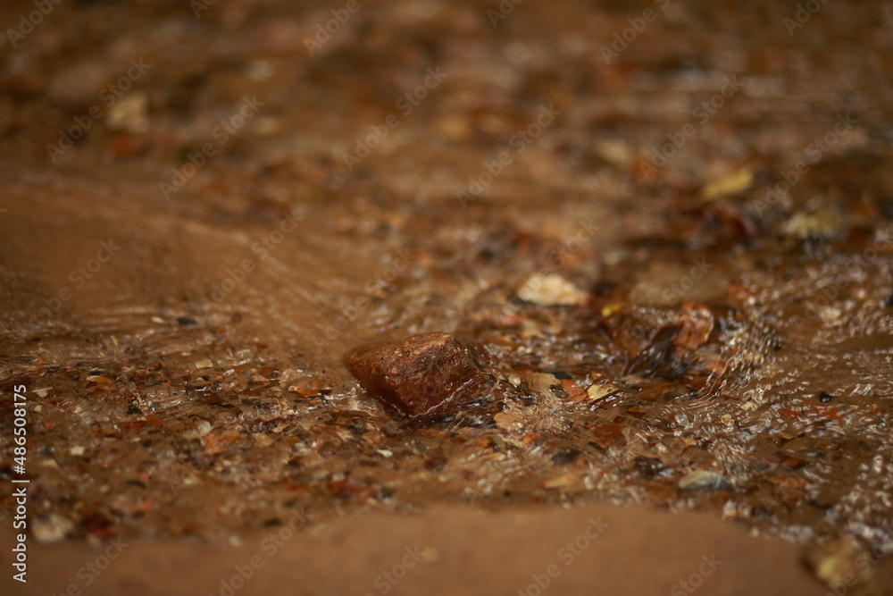 Fototapeta premium Close-up of the sandy bottom of a shallow stream, stones, rapids.