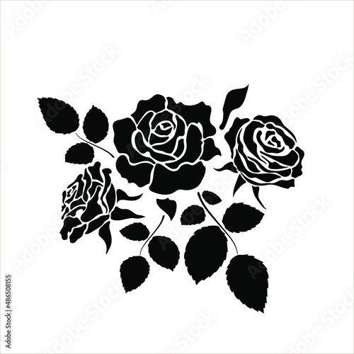 Beautiful flower. Conceptual design. Stylized floral symbol. Vector illustration, stencil, rose vector.