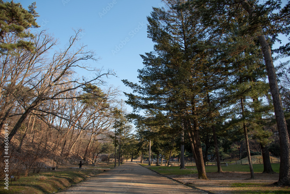 Late autumn scenery of Korean dirt road Late autumn scenery of Korean dirt road