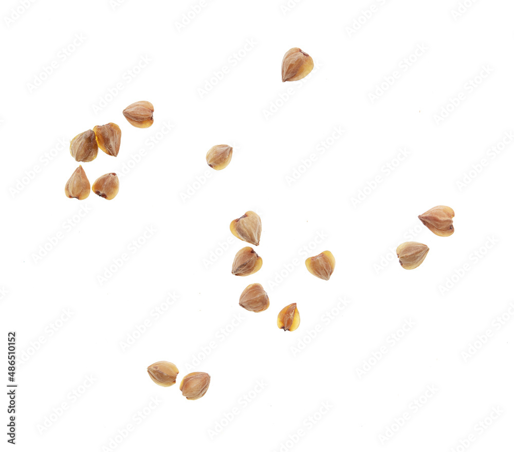 Buckwheat groats isolated on white background. Buckwheat groats isolated on white background.