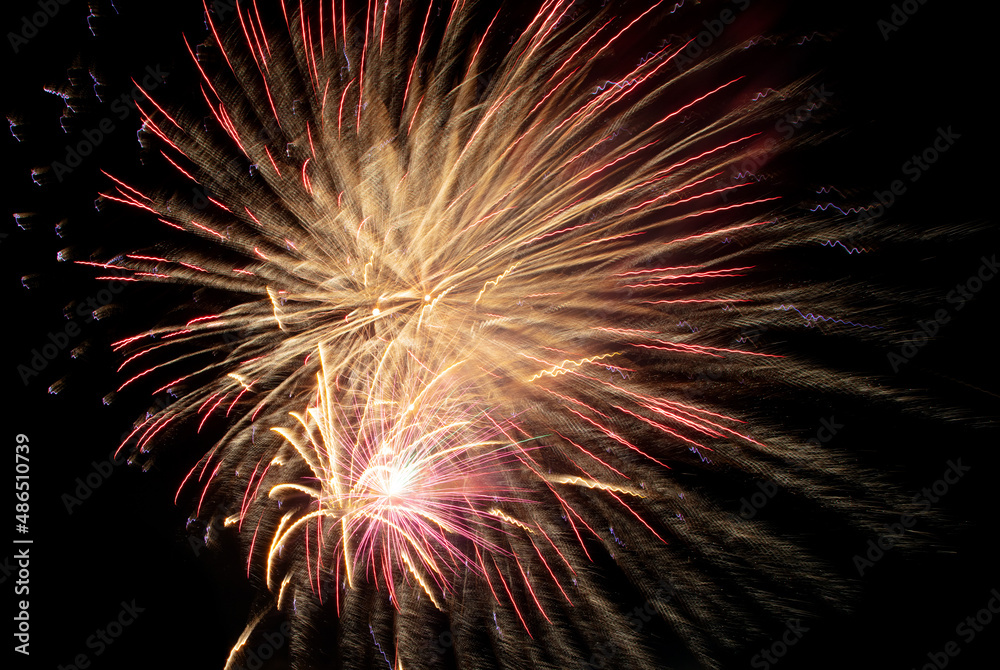 Fireworks in the black sky. Fireworks in the black sky.