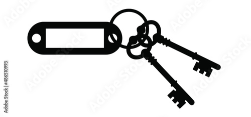 Bunch of keys, ring and label. Plastic keyring Vector cartoon old antique ornate door big key sign. Door keys for close or open door. Doorway pictogram. Exit or entry Home, house, hotel. Lock, unluck 