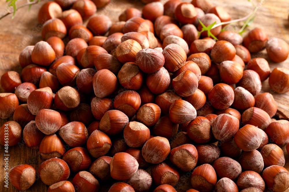 a hazelnuts nuts in shell on wooden board a hazelnuts nuts in shell on wooden board