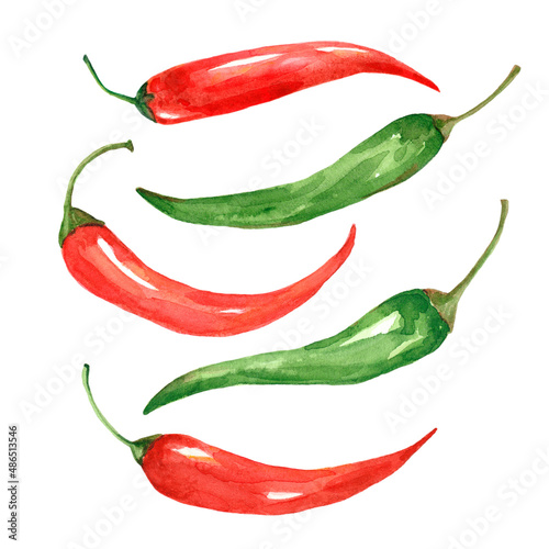 Red and green hot chili pepper watercolor
