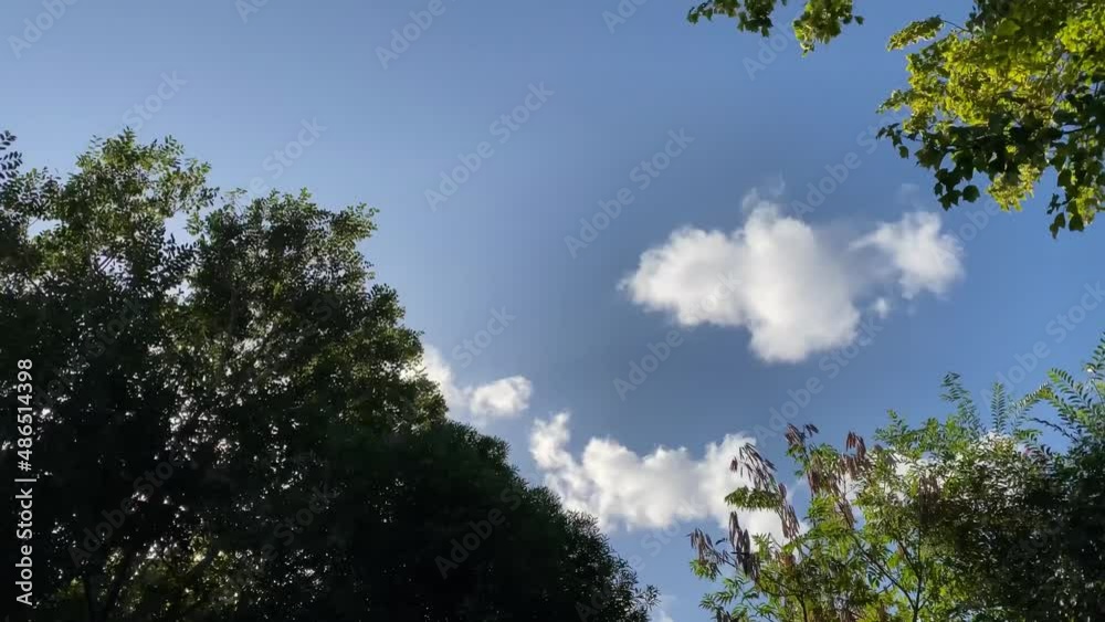 Hyperlapse of the sky and the tree tops Hyperlapse of the sky and the tree tops