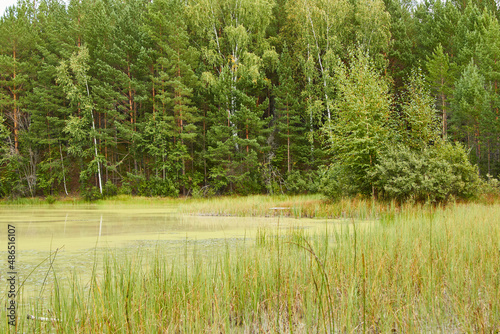 green water