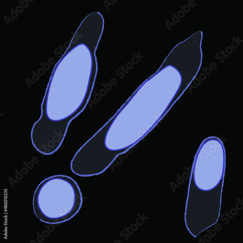 Group of Thermotogae bacterias on black background, vector illustration