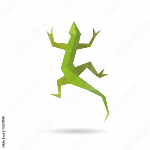 Lizard triangle shape abstract isolated on a white background, vector illustration