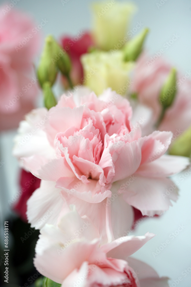 Bouquet with pink carnations and eustoma