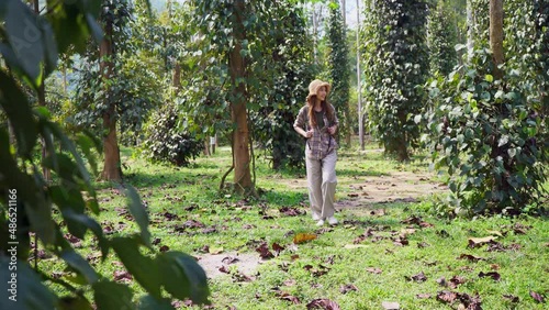 Young asian woman walking in forest with backpack. Walking to the camera.