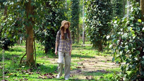Young asian woman walking in forest with backpack. Getting lost in the forest.